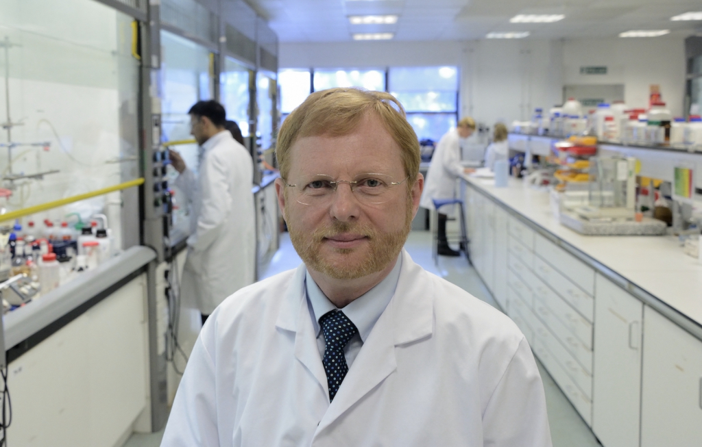 Domainex Lab