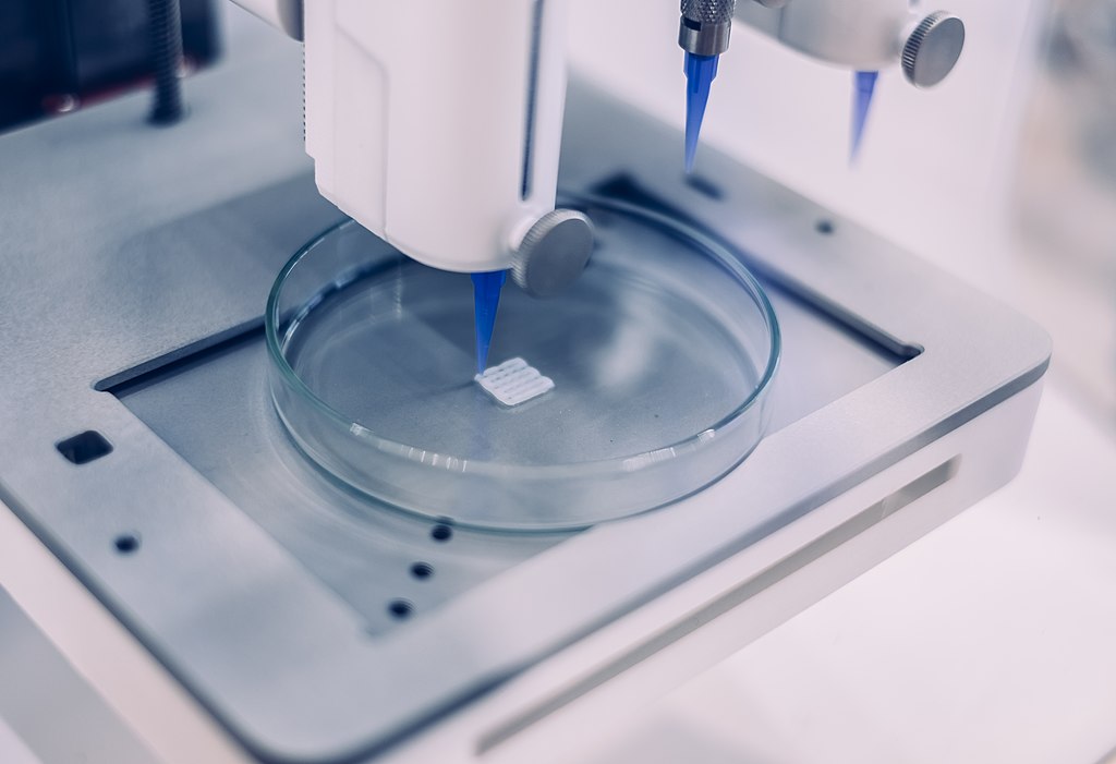 How bioprinting is taking off in 2019