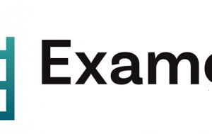 Examen Logo