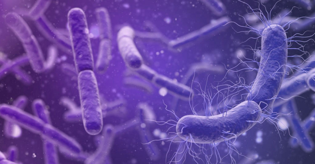 Microbiome Parkinson's research