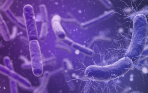 Microbiome Parkinson's research