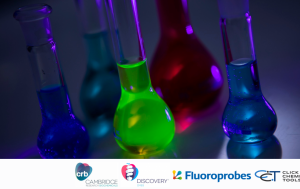 Fluorescent dyes