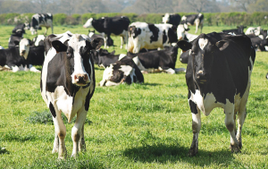 Agriculture image