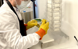 Examen lab image