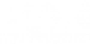 B4X Therapeutics logo
