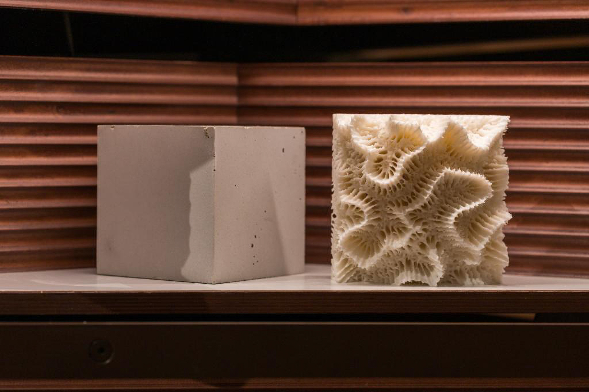 KAUST and PARTANNA showcase carbon-negative solutions for coral restoration at Venice Biennale 2023