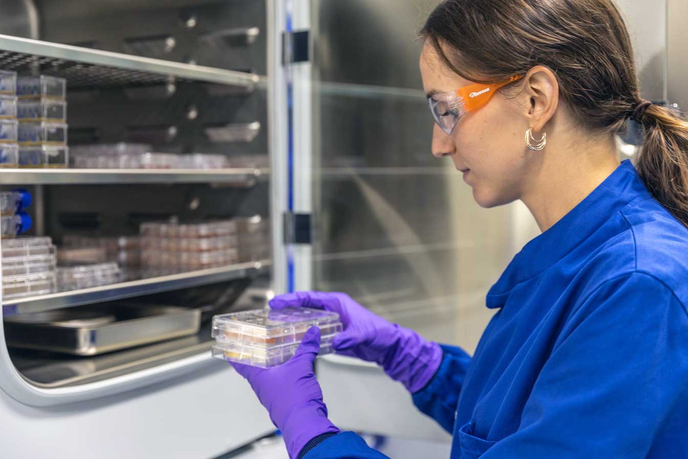 Laverock Therapeutics secures Innovate UK award to advance immune effector cell therapeutics programme using GEiGS® technology