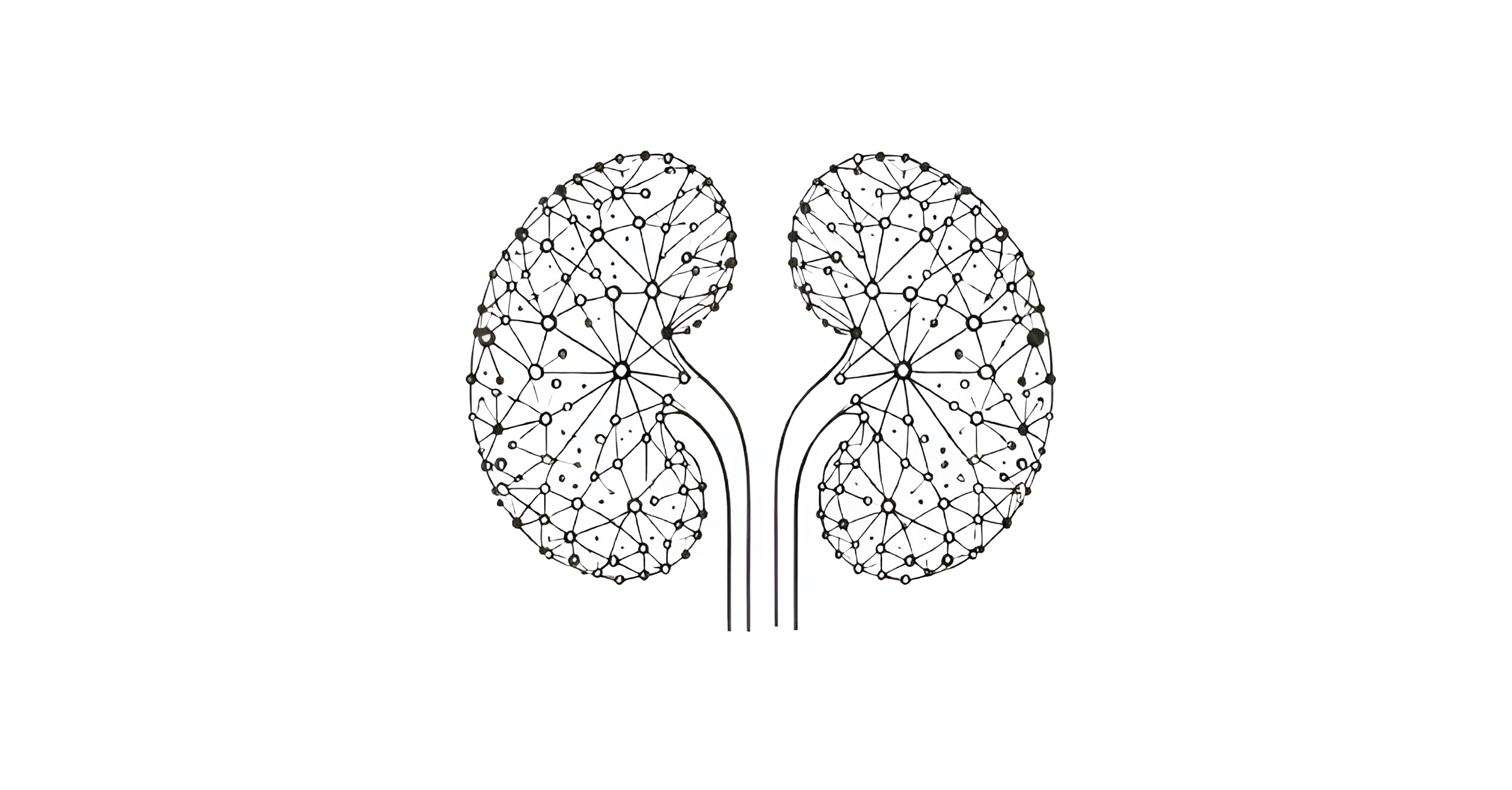 MultiOmic Health announces discovery of novel endotypes and biomarkers for diabetic kidney disease 