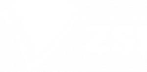 Centre for Social Innovation logo